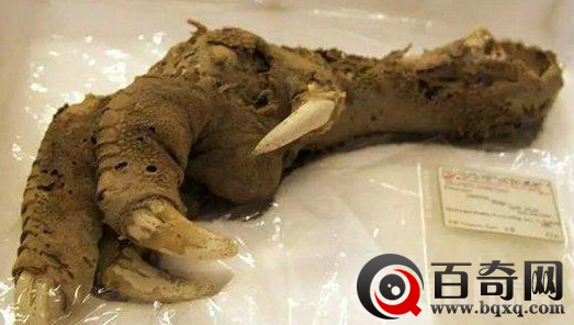 地球十二个未解之谜 死亡之丘