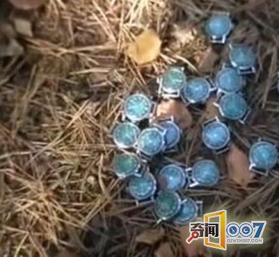 散步时发现玻璃瓶，打开后发现意外惊喜