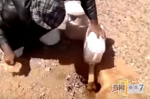 男子沙漠逃生水倒掉，随手一抓竟捕获奇物
