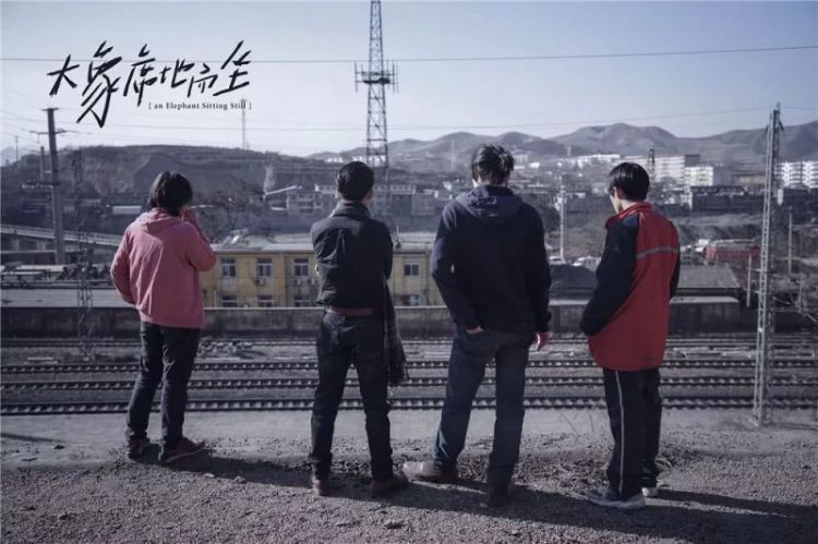 关于金马奖最佳影片《大象席地而坐》，这些细节值得知晓！