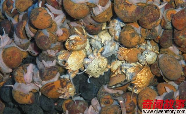 印度洋深海下到底有什么，科学家为何不敢公开真相？