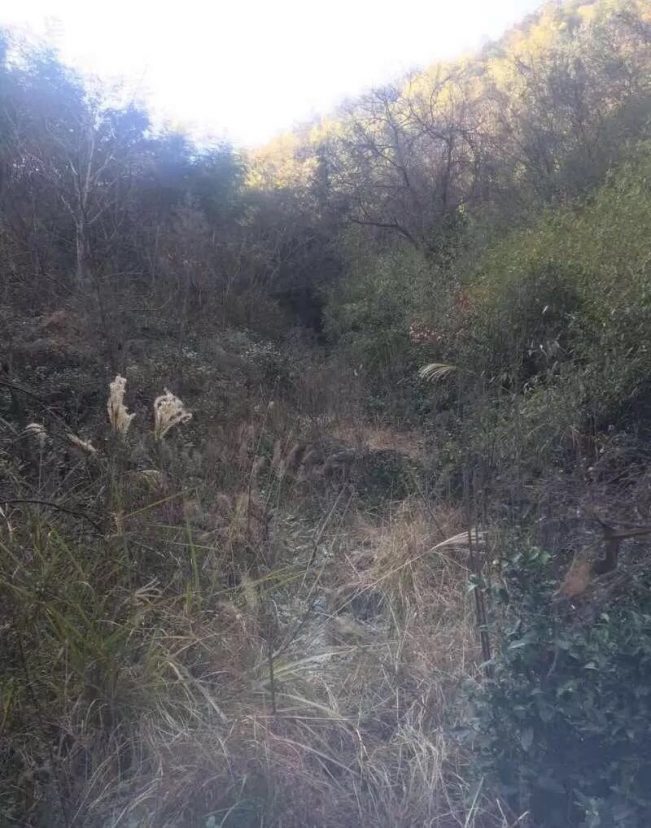 （真实）嵊州解密鬼打墙