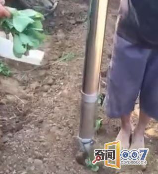 男子发明自动种菜机，效率成倍提升令人羡慕