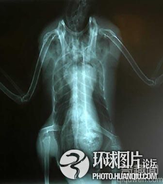 【探秘】盘点全球著名UFO事件大集合！