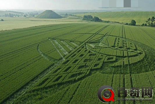 麦田怪圈之谜：看似像人工！人工却无法完成