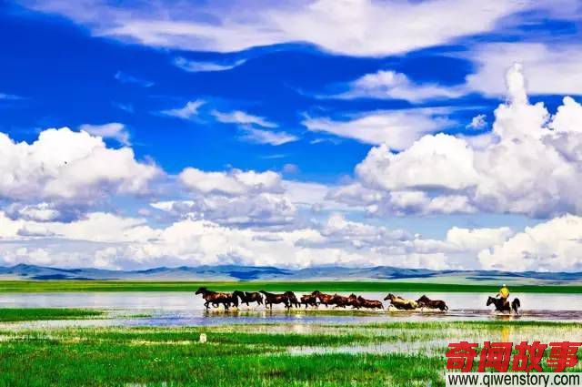 盛夏是时候去草原撒个欢了