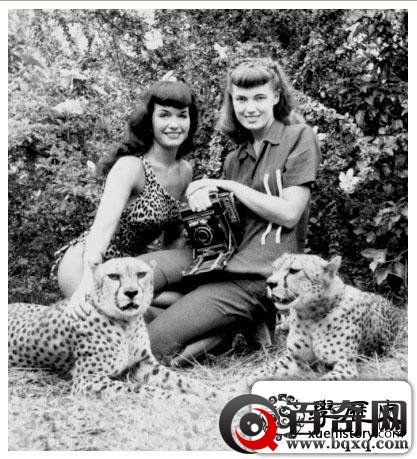 老照片里的豹纹美女