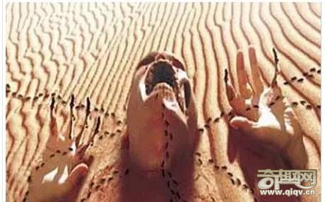 全球最可怕的仪式：刺穿活人的太阳舞节！