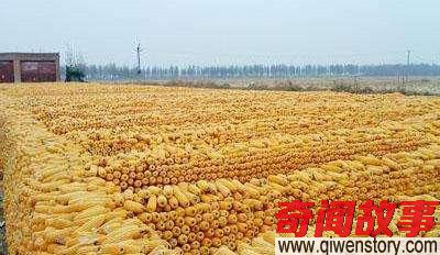 抗日战争中,日本到底从中国掠夺走了多少财富?真相:不计其数!