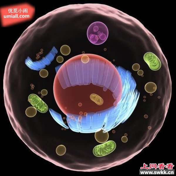 地球生命的起源7种理论