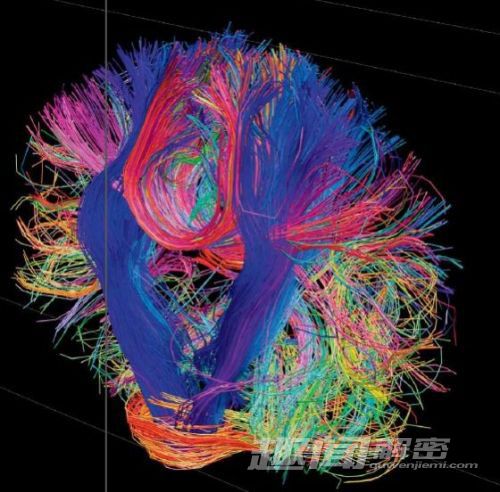 2013十大科学新闻：人类大脑计划