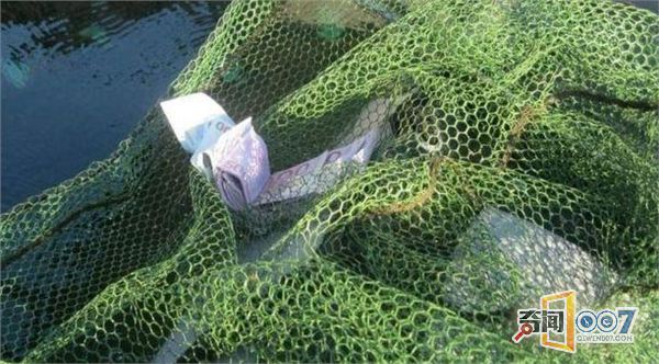 奥地利一名男孩捕鱼 在多瑙河捞到100000欧元