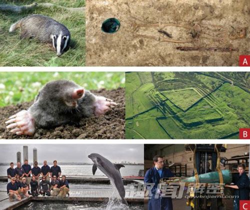 盘点2013年全球十大考古发现