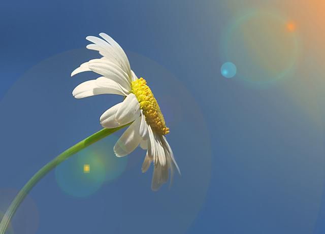 三月下旬，桃花绚烂，含情脉脉，真爱降临，有望修成正果的3星座