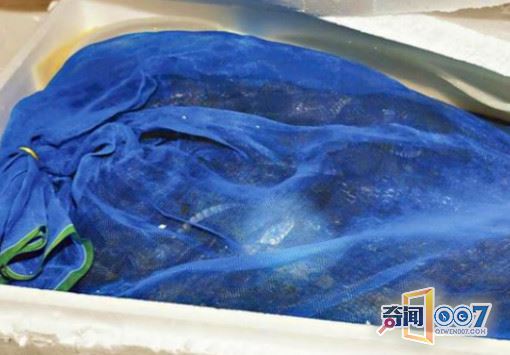 交警跟随可疑车辆，得知运输的货物后将司机抓获