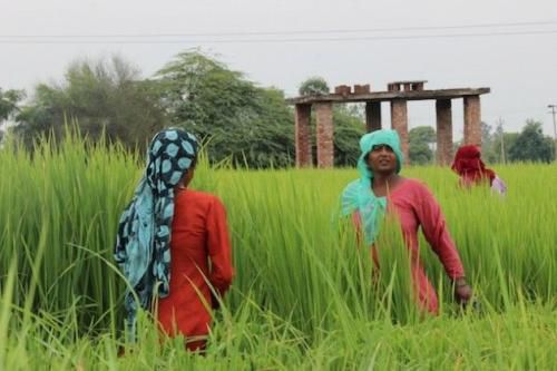 有关印度的15个事实，跟你想象中的差别有多大？