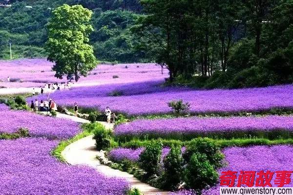 中国最美的20座小城 有你的家乡吗-