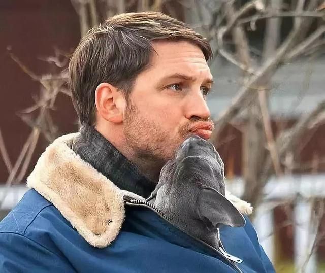 5天9亿票房，今年他最爆，网友：2018最佳男友无疑