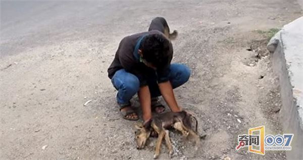 男子发现路上躺只流浪狗，本想路过却因它的动作心软了