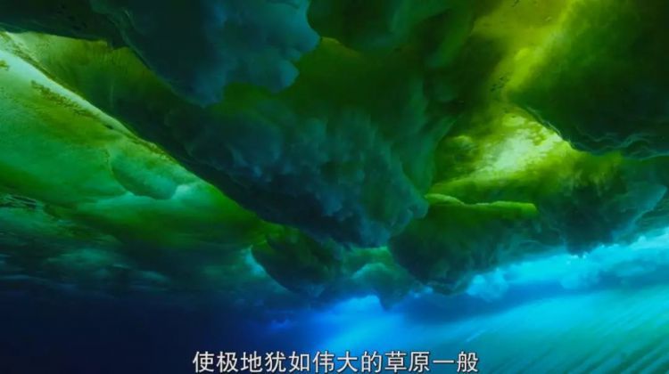 豆瓣9.8，网飞和BBC王牌合作！神仙组合啊！