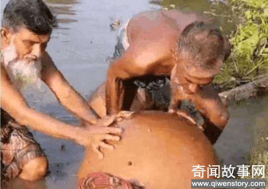 老汉河底捞出一个古老的坛子砸开里面全是银条(图文)