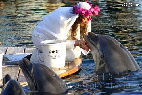 英百万富婆与35岁海豚结婚 惊世骇俗引人关注