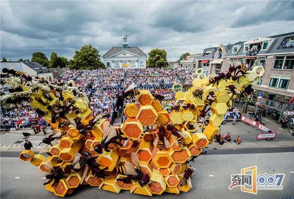 这就是在地表最狂”荷兰花卉节”出现的巨型花车