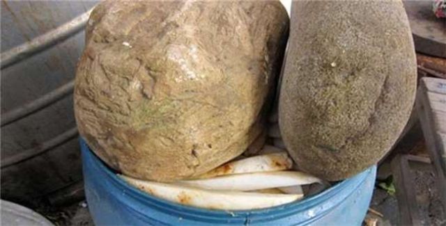 石头里蹦出的财富 腌菜的石头竟然是块原石？