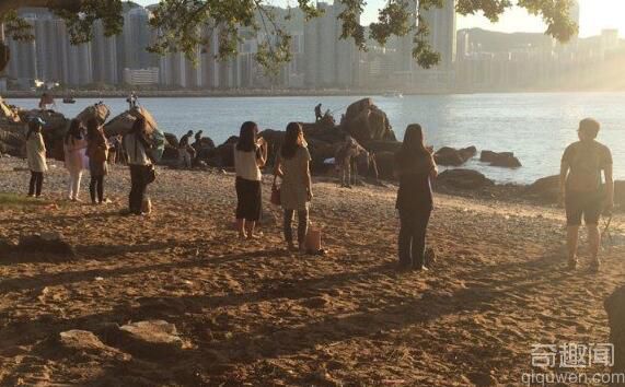 减肥新潮流：盯着太阳能融化脂肪