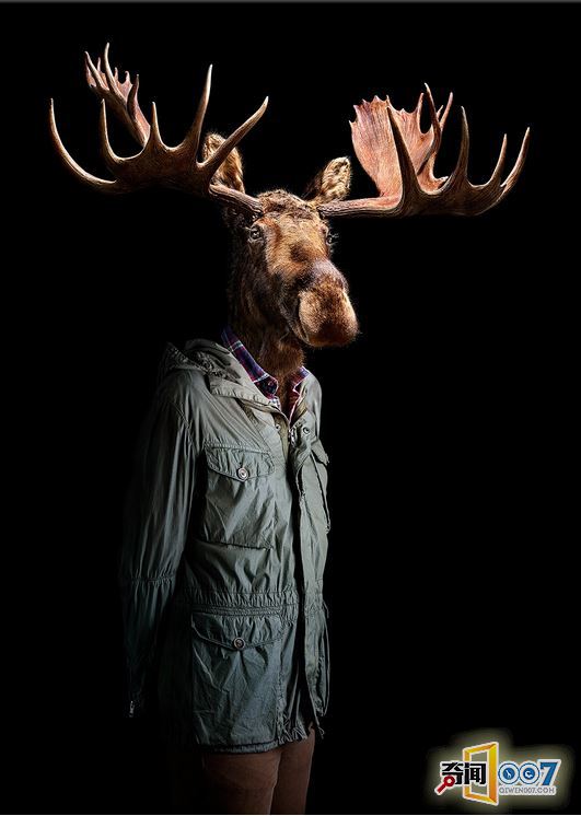 当动物穿上了时装，变成衣冠禽兽