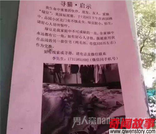 用320万房子寻猫怎么回事？网友：辞职去找猫了！