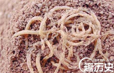 破解4000年前面条的成分与制法之谜！