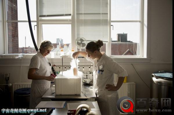 甯︿綘鍙傝涓栫晫涓婃渶澶х殑绮惧瓙閾惰-Cryos鍏徃(鍥-