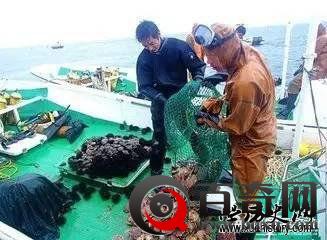 尼克松访华，周恩来1000公斤鲍鱼款待