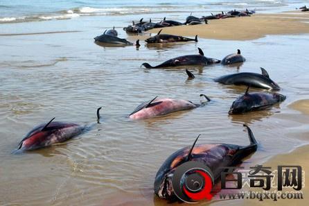 全球8大致命湖泊 它们都因何而死