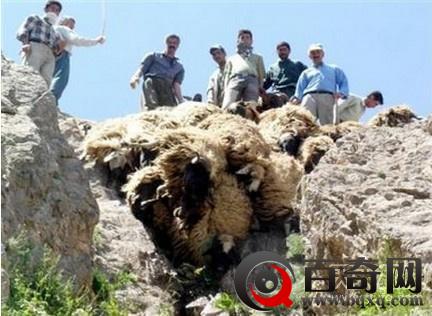 全球8大致命湖泊 它们都因何而死