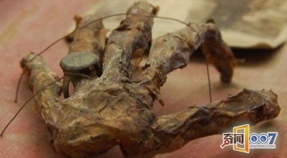 整理旧物搜出“古木盒”，翻开后顿时打冷颤