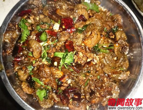 世界上最恶心的食物 最后一种连贝爷都吃不下去