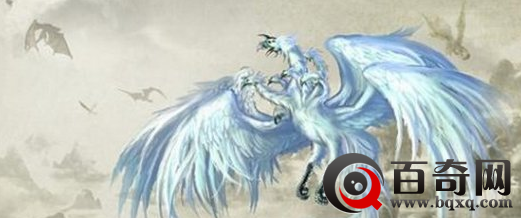 九头鸟是否存在 九头鸟到底是什么动物