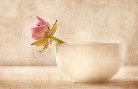 向十二星座女生表白，怎样才能提高成功率-