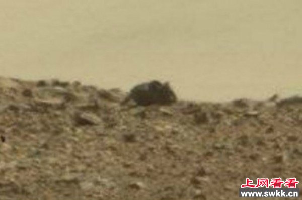 好奇号传回火星照片又有新发现 图_0