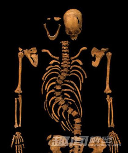 盘点2013年全球十大考古发现