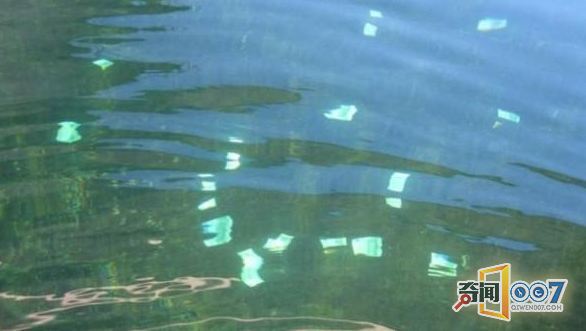 奥地利一名男孩捕鱼 在多瑙河捞到100000欧元