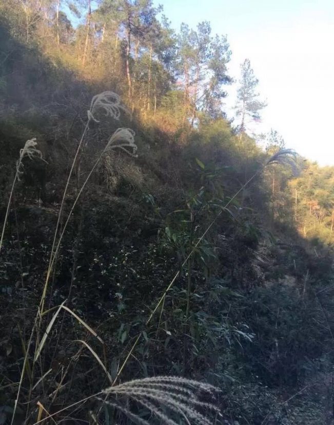 （真实）嵊州解密鬼打墙