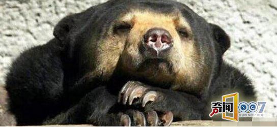 诡异!广东活捉“水鬼”真相惊人