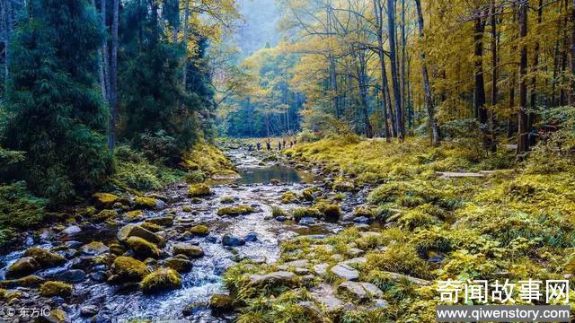 张家界的必去景点 中国性价比最高的景点之一