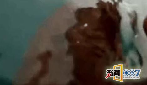 男子发现四脚不明生物，让人毛骨悚然