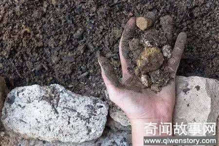 关于我们的这个绿色家园的十个事实 地球十大惊人事实_0