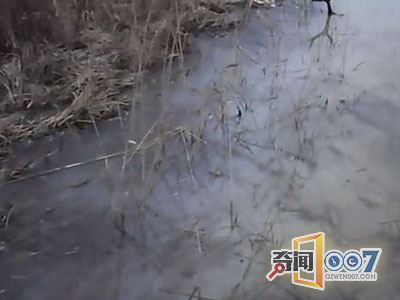 海边草丛有异动男子上前摸到它