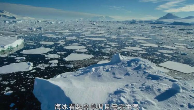 豆瓣9.8，网飞和BBC王牌合作！神仙组合啊！